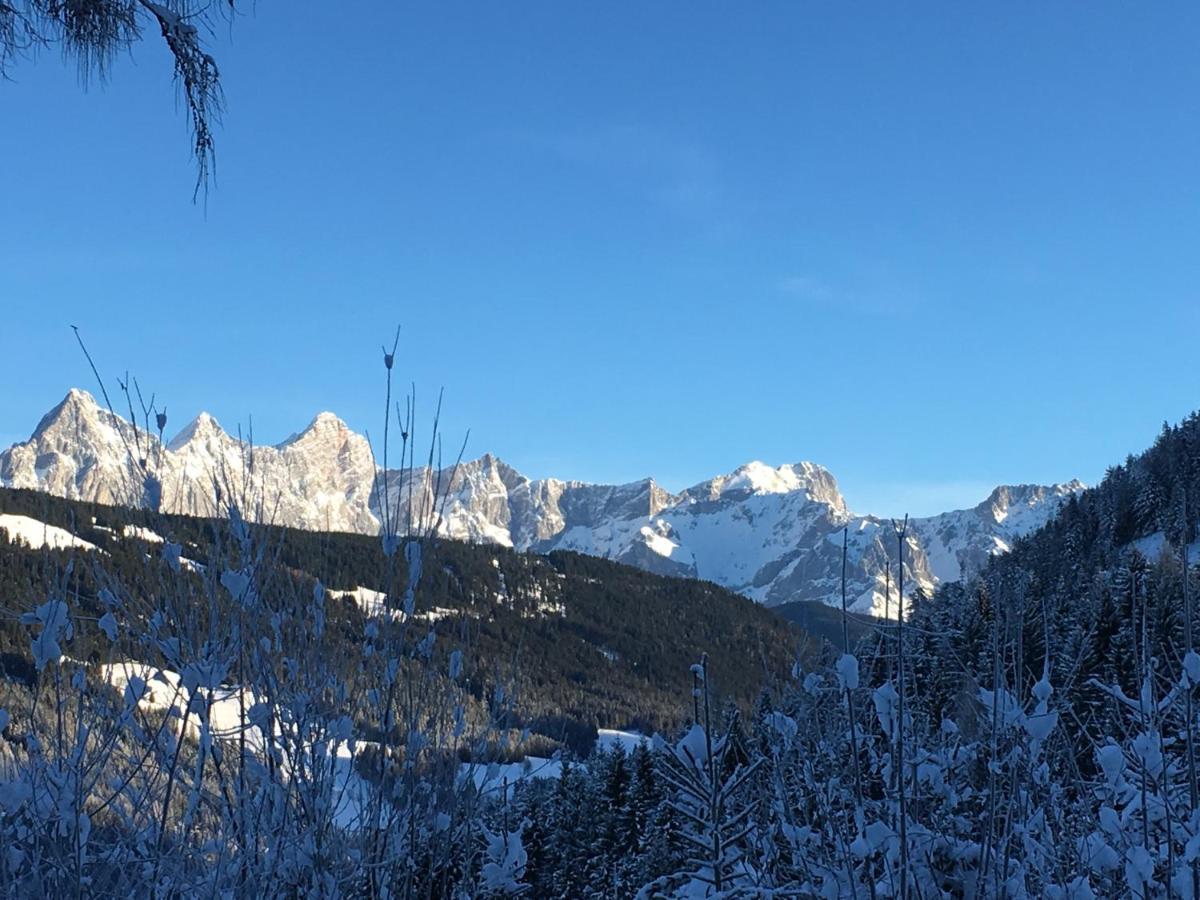Appartement Sonnberg Forstau  Exteriör bild